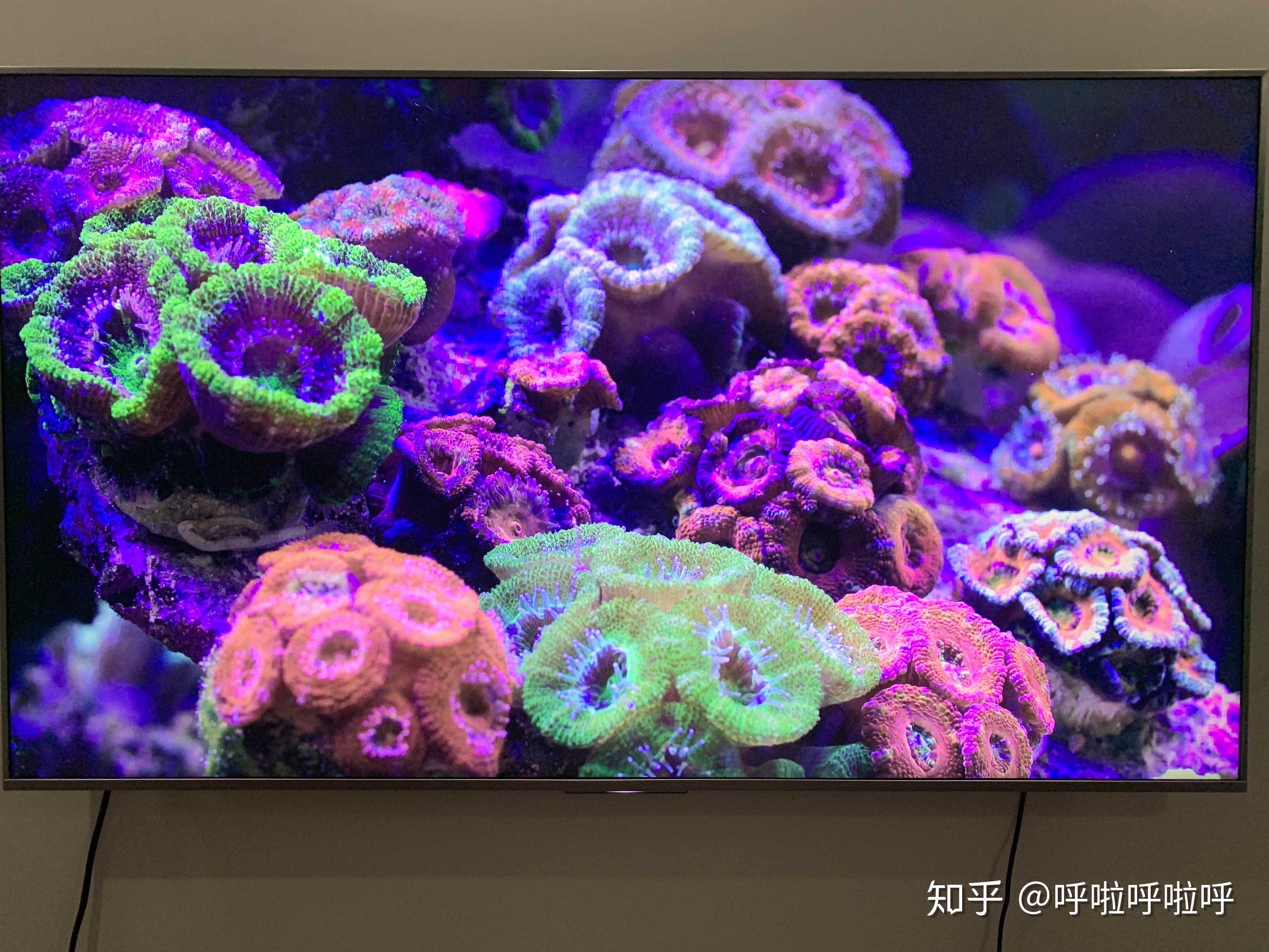 藏海在哪_海底藏金_海底挖宝藏