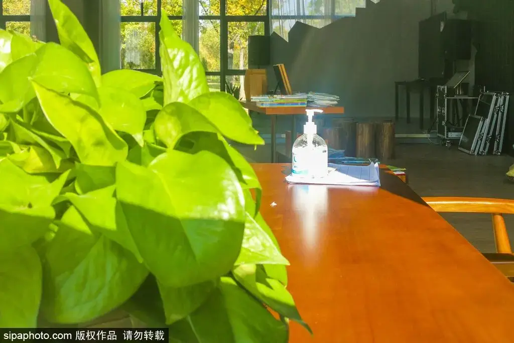 东南缺角的房子风水破解_房屋缺东南角如何补角_房屋东南缺角怎么补救
