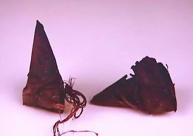 盗墓ol噩梦玄武机关怎么开_盗墓ol破解版下载_盗墓ol
