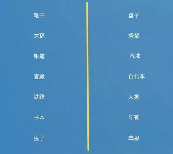 袋鼠的智力水平-袋鼠：记忆高手与洞察专家，超越人类智慧