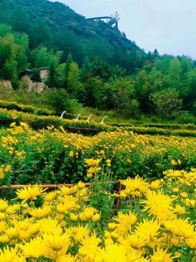 板式吊耳计算软件_板式热交换器选型计算_板式吊耳强度验算