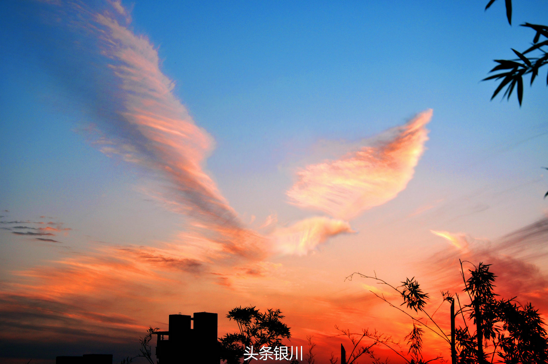 地府乾元丹点阎罗还是夜行_地府的乾元丹_地府乾元丹