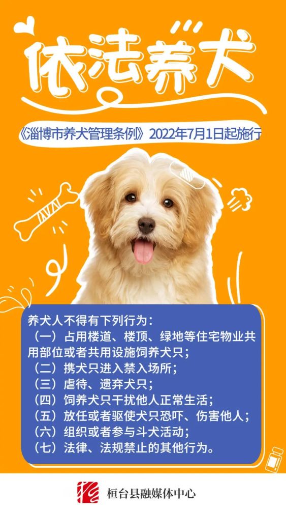 小狗收留注意要点是什么_收留小狗要注意什么_小狗收留注意要点有哪些