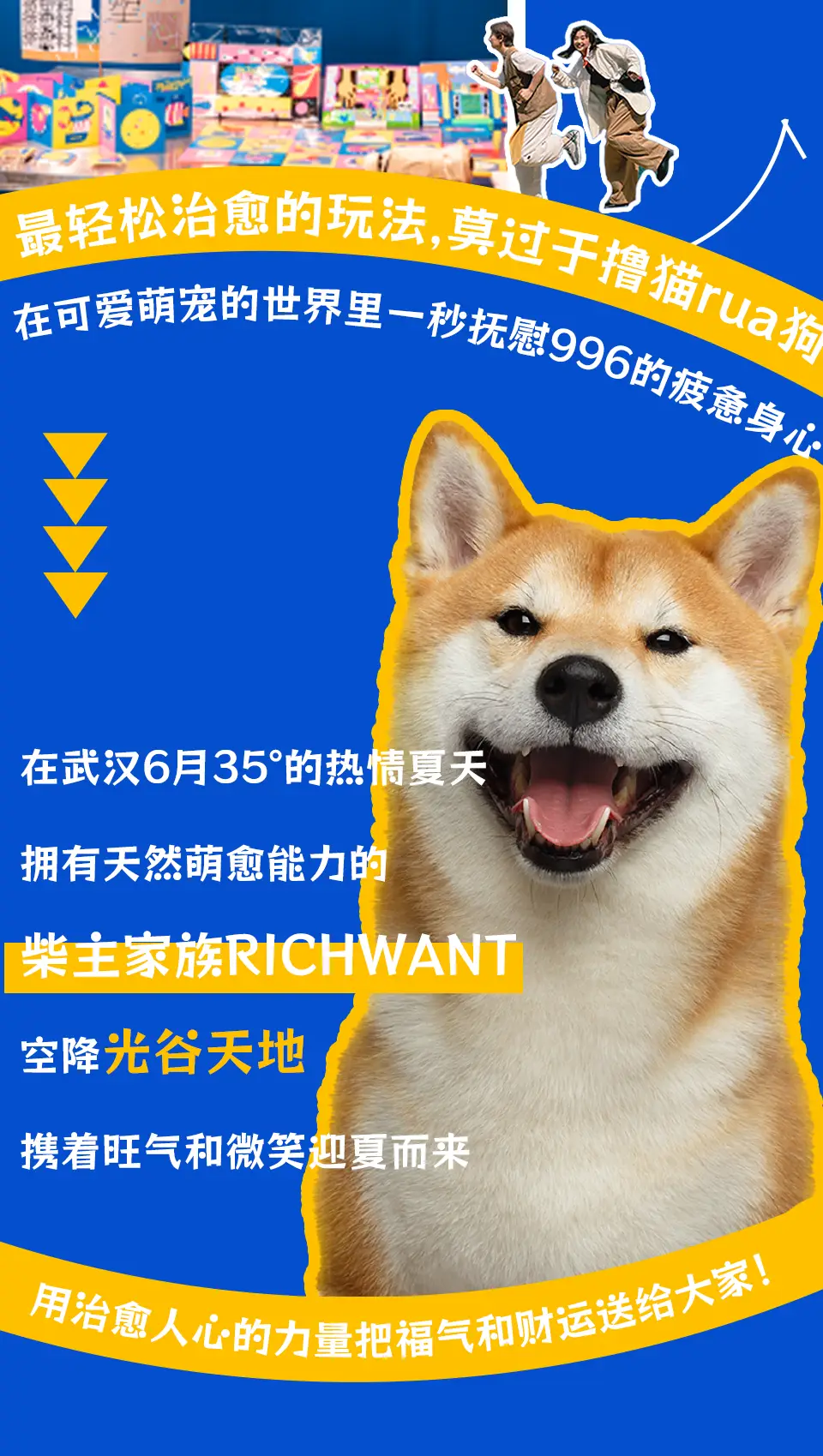 收留小狗要注意什么_小狗收留注意要点是什么_小狗收留注意要点有哪些