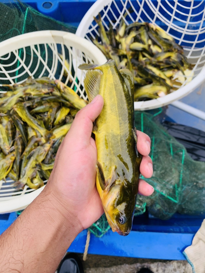 牧场收益表_qq牧场的动物_qq牧场动物收益