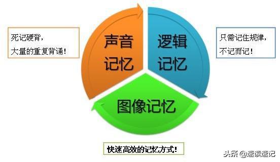 高效记忆新课标app下载_如何高效记忆 txt_高效记忆单词方法