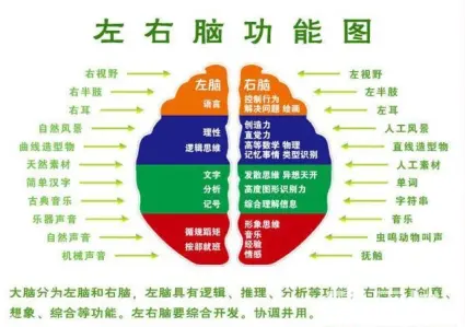 如何高效记忆 txt_高效记忆新课标app下载_高效记忆单词方法