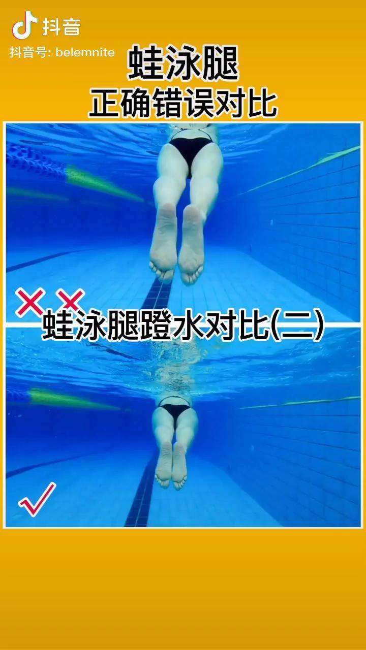 爬泳腿部技术要领_爬泳腿要求_爬泳腿打水的阶段包括