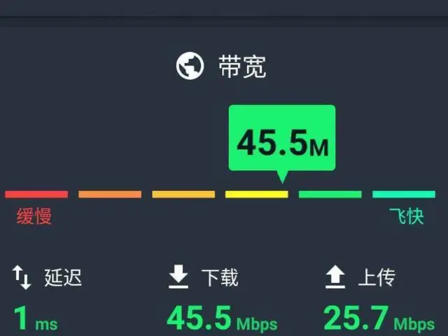 下载什么软件抢网速-网络下载速度疯狂提速！4款神器软件大揭秘