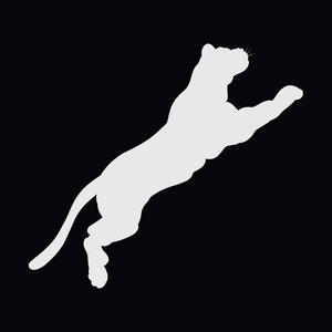 猎豹跳远能跳多远_猎豹能跳多远_多远猎豹能跳得高一点