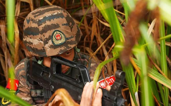 突击小队兵种数据分析_突击小队兵种数据图_突击小队2兵种数据