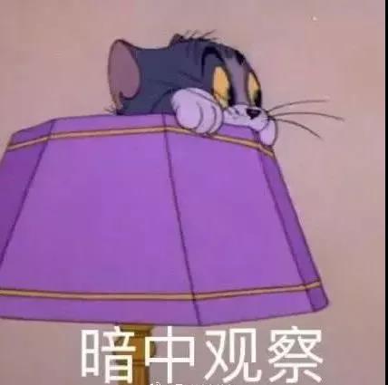 斯派克舔汤姆猫表情包_汤姆猫表情包指人_汤姆猫表情包