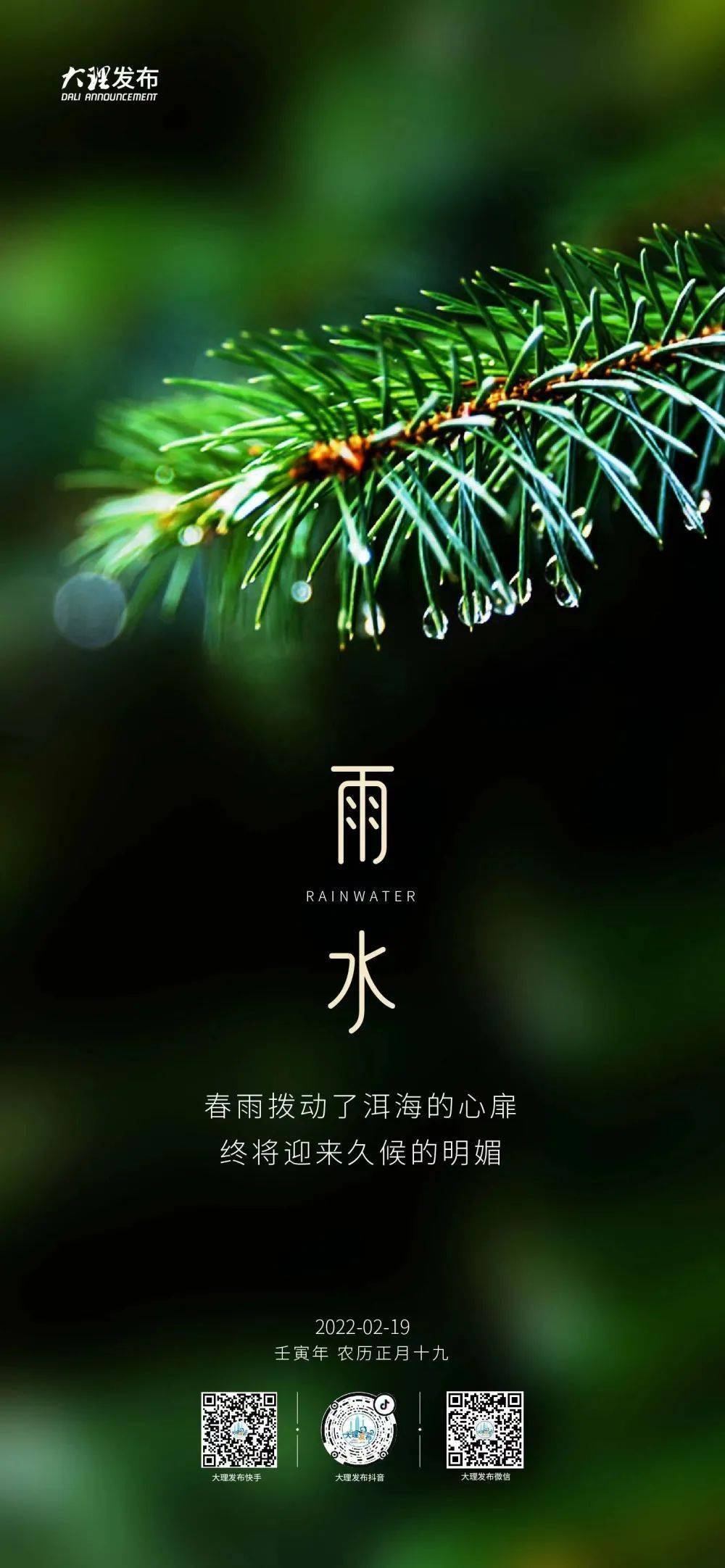 茶叶雨前雨后_雨前茶叶_雨前茶打药吗