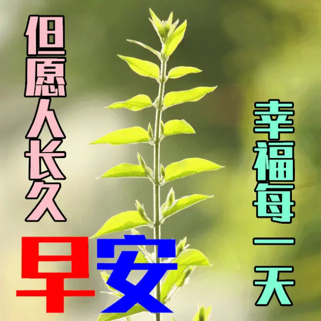 回响心灵维度的探索_心灵的回响歌曲_心灵的回响