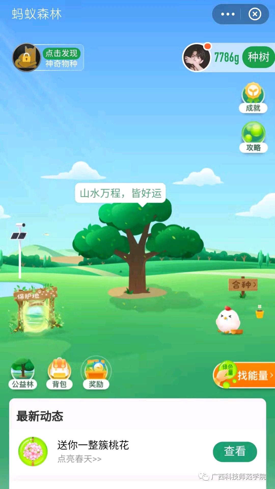 梁月的钝剑90版本排名_梁月的钝剑100版本有用吗_改版后梁月的钝剑排名