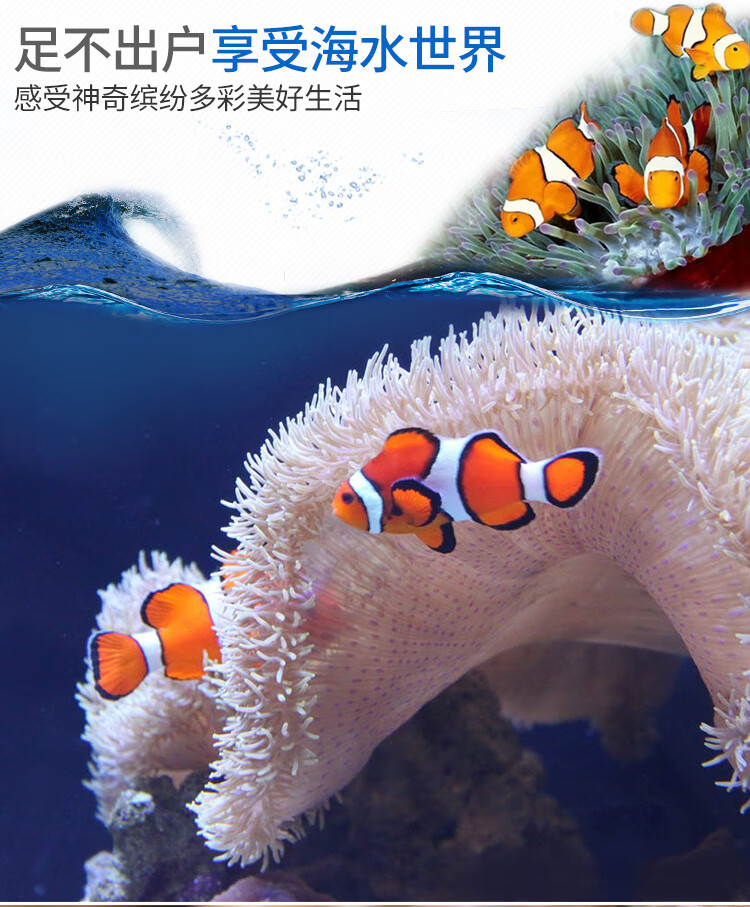 cf端游无影火麒麟黑武士对比_ak47 火麒麟 无影 黑武士_火麒麟无影黑武士
