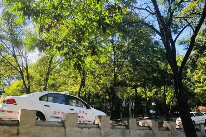开车挂挡视频_开车的挡怎么用_学自动挡开车视频教程