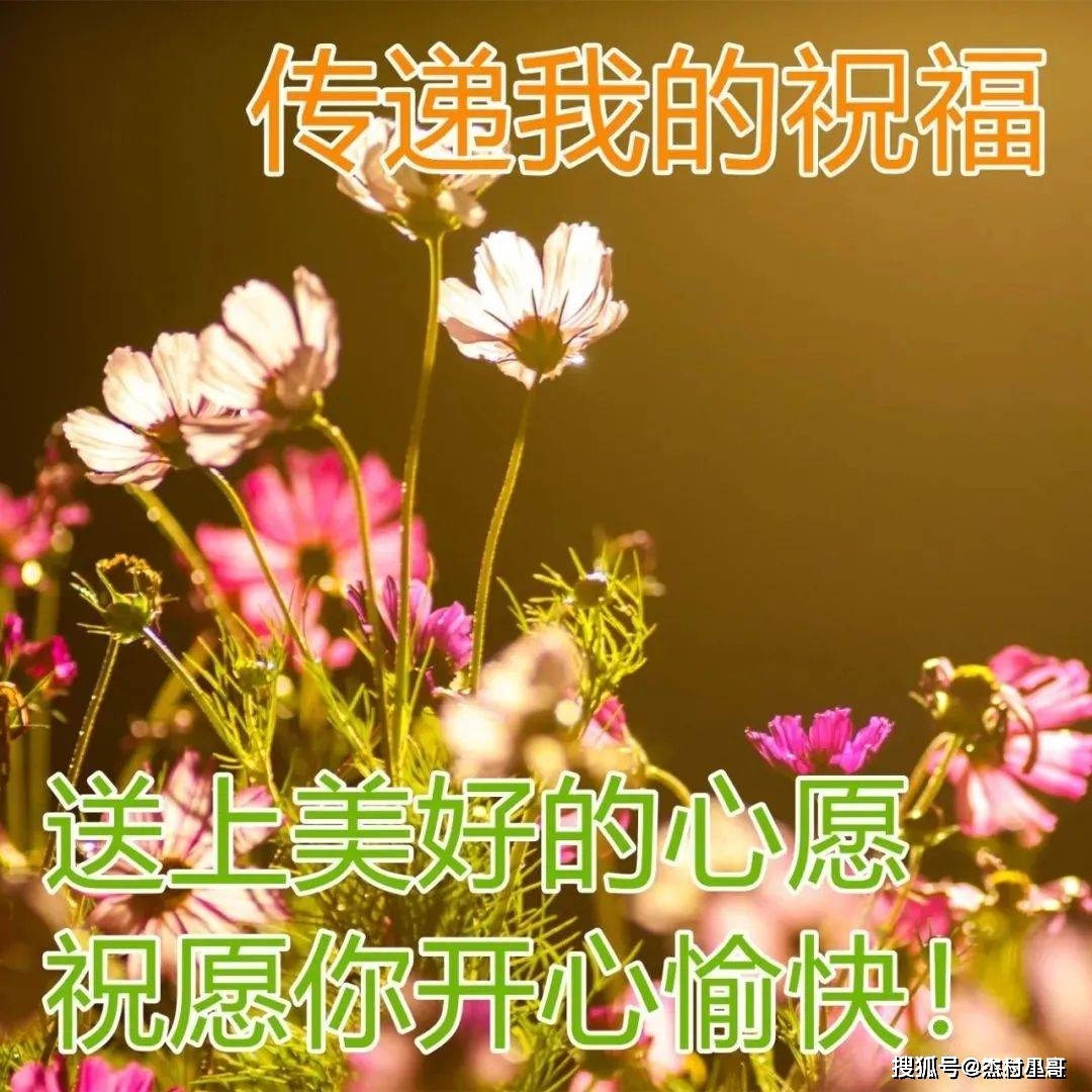 春节吉祥话祝福语_话吉祥春节语祝福语怎么说_春节的吉祥祝福语