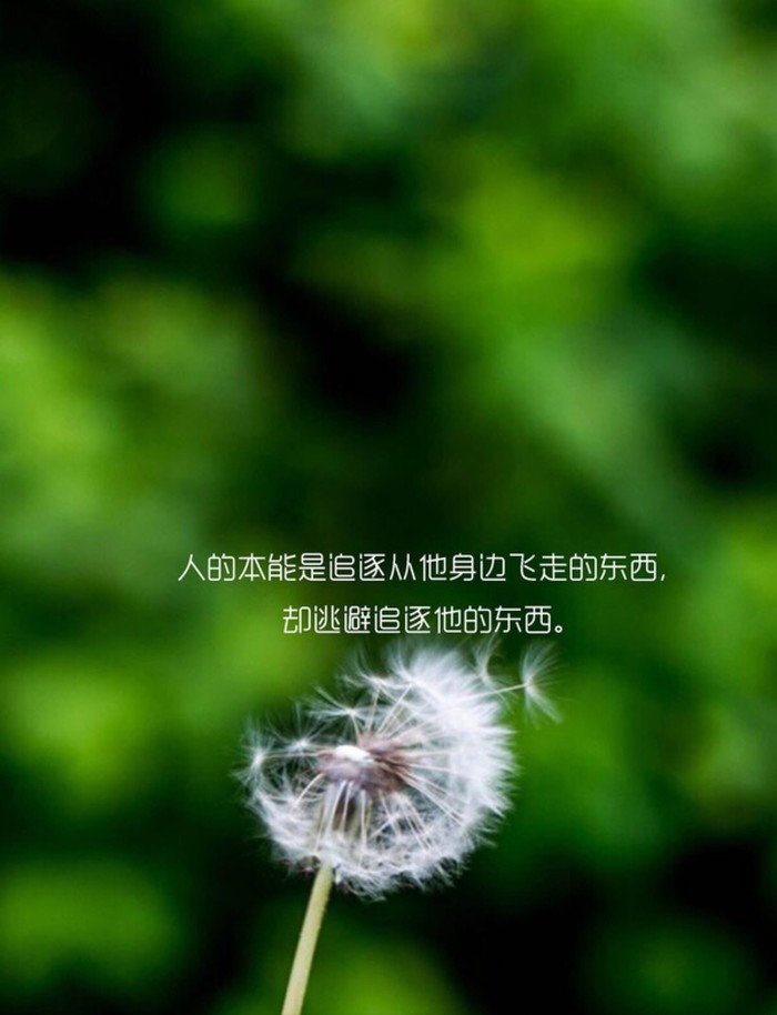 这是一个爱情的游戏主角是我配角是你歌词_配角和主角才是真爱_是配角歌词主角爱情游戏的歌