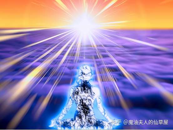 热血海贼王恶魔果实树攻略_热血海贼王恶魔果实树多久开一次_热血海贼王果实介绍