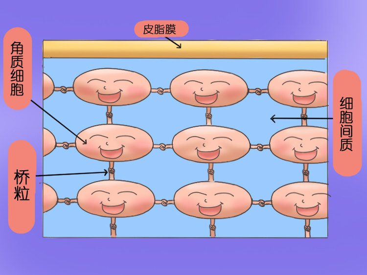 一立方砖多少块_立方砖需要多少砂浆_立方砖用量公式