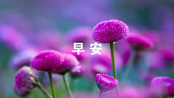 梦幻西游牧场攻略2020视频_梦幻西游新牧场视频_梦幻西游牧场攻略202