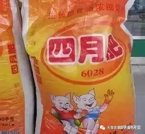 先锋广告语_净网先锋 广告_先锋电视广告