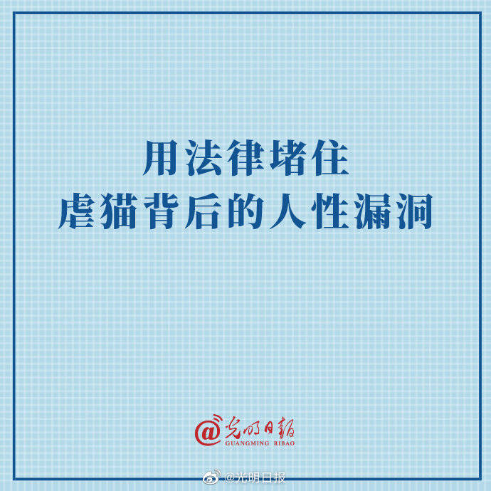 为什么有人喜欢虐猫_喜欢人虐猫有什么表现_喜欢人虐猫有罪吗