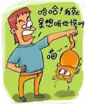 喜欢人虐猫有什么表现_喜欢人虐猫有罪吗_为什么有人喜欢虐猫