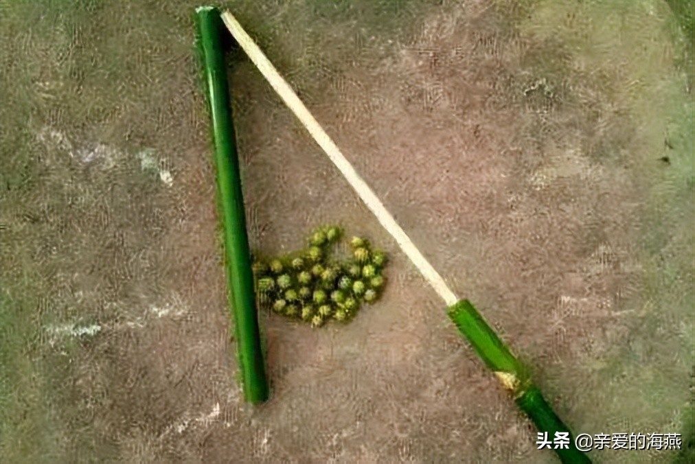 小牛套装_套小牛游戏机_小牛游戏