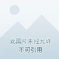 qq游戏橙色昵称-QQ 游戏中橙色昵称的魅力与争议：它真的那