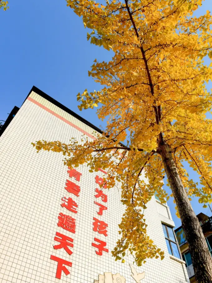 官网街县小学学费多少_县学街小学官网_县学街小学分校