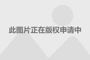 电话是贝尔发明的吗_电话是多少_02195111是什么电话