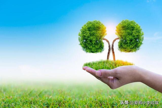 生肖传说野宠合成_生肖传说游戏宠物_生肖传说游戏