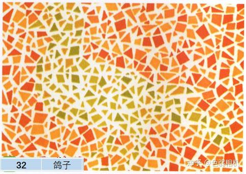 体检驾照图色弱能过吗_体检驾照色弱测试图_驾照体检色弱图