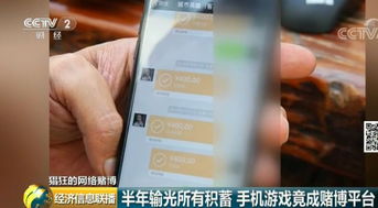 安卓模拟赌博游戏下载,下载攻略与风险警示