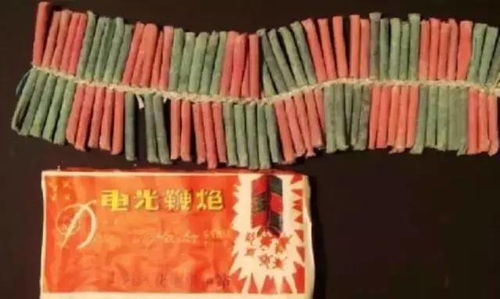 炮炮小英雄 