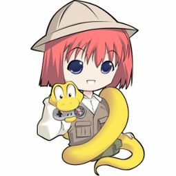 黑猴子猜拳安卓游戏,青春热血的指尖之旅