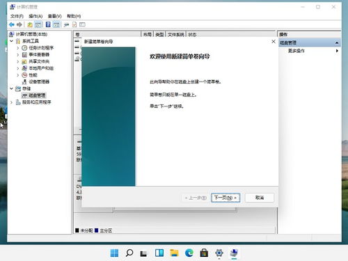 win11系统分区工具,高效分区策略全攻略