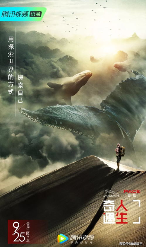 搞怪的人生游戏官方最新版 